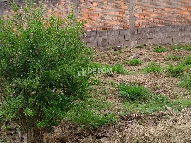 Terreno com 595m², à venda, no bairro Jardim Quisisana em Poços de Caldas