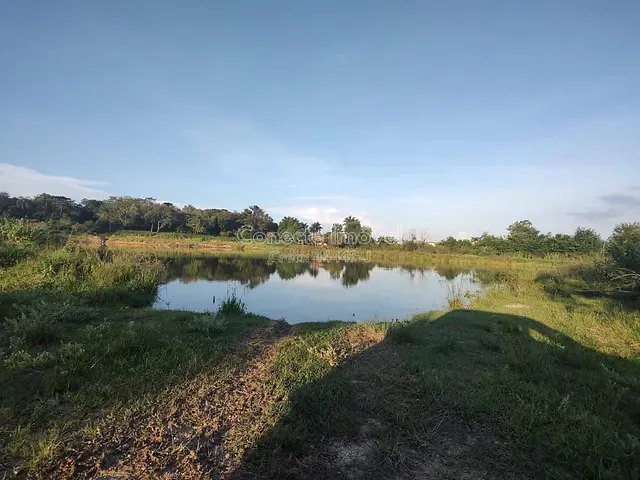 Sítio com 53367m², à venda, no bairro Área Rural de Jaguariúna em Jaguariúna