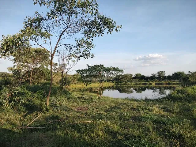 Sítio com 53367m², à venda, no bairro Área Rural de Jaguariúna em Jaguariúna