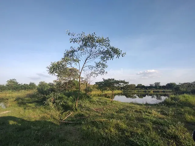 Sítio com 53367m², à venda, no bairro Área Rural de Jaguariúna em Jaguariúna