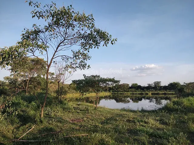 Sítio com 53367m², à venda, no bairro Área Rural de Jaguariúna em Jaguariúna