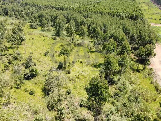 Terreno com 30000m², à venda, no bairro Parque Industrial Mogi Guaçu em Mogi Guaçu