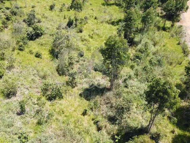 Terreno com 30000m², à venda, no bairro Parque Industrial Mogi Guaçu em Mogi Guaçu