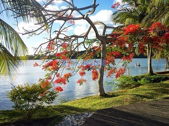 Terreno, 250 m² - Foto 19