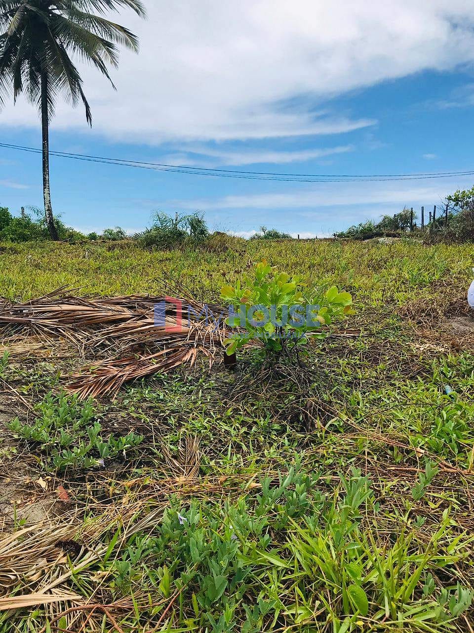 Terreno, 250 m² - Foto 6