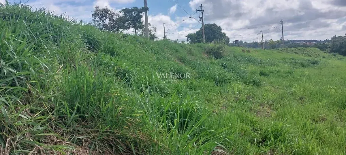 Terreno, 817 m² - Foto 6