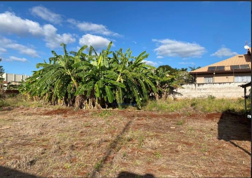 Terreno, 1533 m² - Foto 3