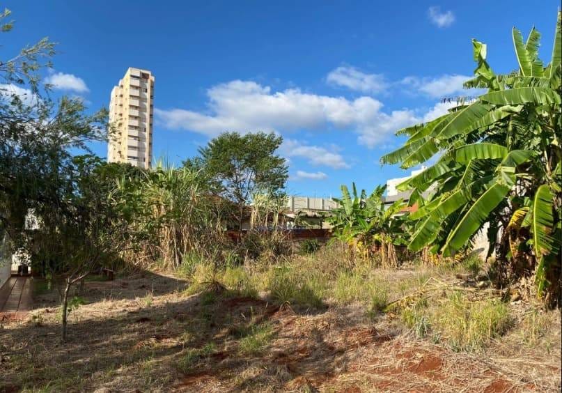 Terreno, 1533 m² - Foto 6