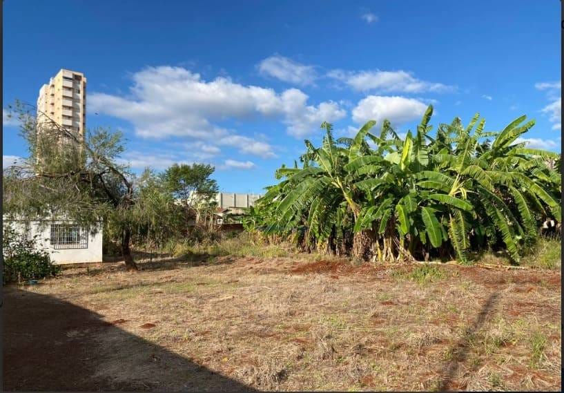 Terreno, 1533 m² - Foto 7