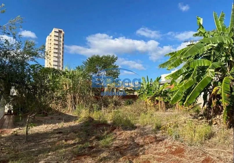 Terreno, 1533 m² - Foto 6