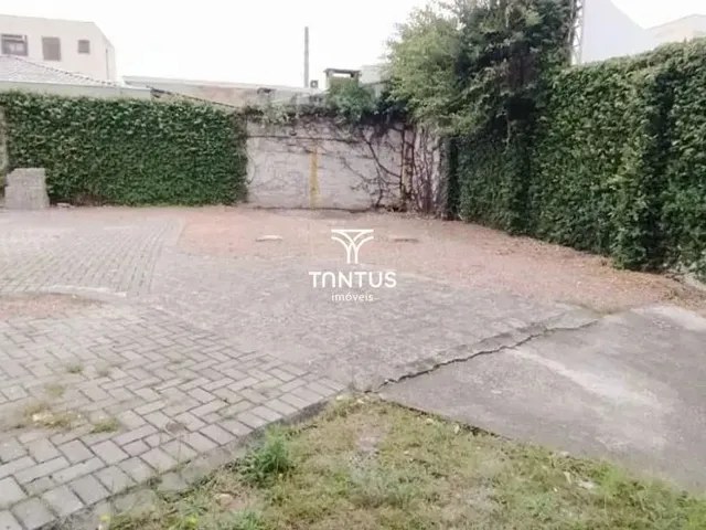 Terreno para alugar, no bairro Juvevê em Curitiba