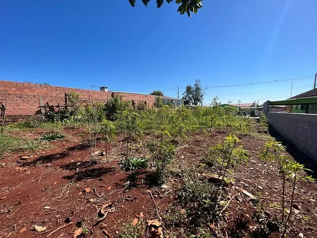 Terreno com 488m², à venda, no bairro centro em Augusto Pestana