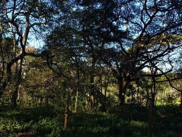 Terreno com 5340m², à venda, no bairro Granja dos Cavaleiros em Macaé