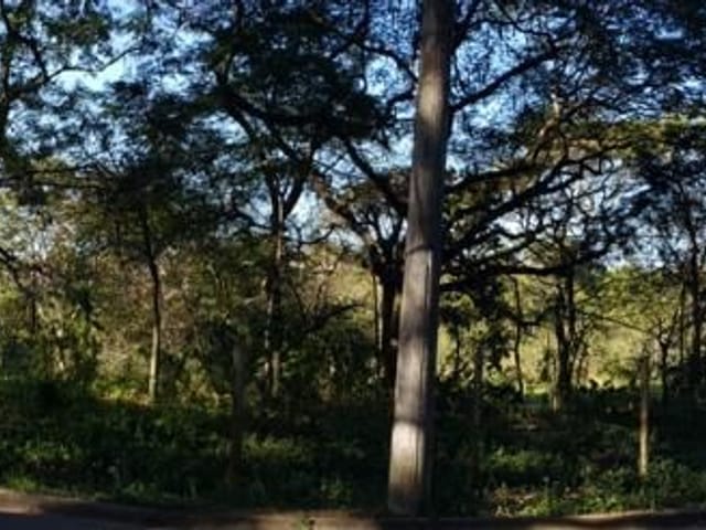 Terreno com 5340m², à venda, no bairro Granja dos Cavaleiros em Macaé