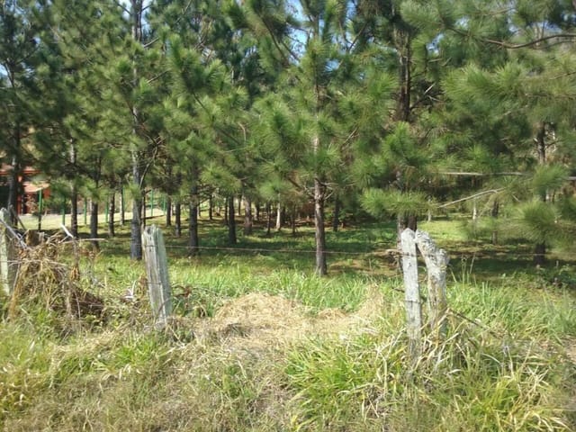 Foto do Terreno - Área  rural à venda, Paiol Grande, São Bento do Sapucaí. | INDEPENDENCE NEGOCIOS IMOBILIARIOS LTDA