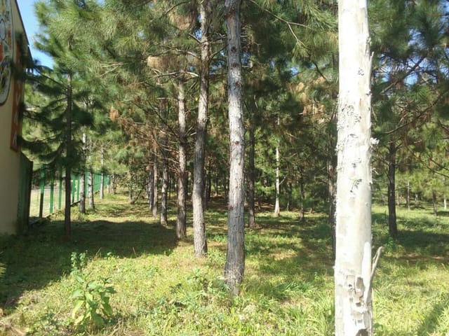 Foto do Terreno - Área  rural à venda, Paiol Grande, São Bento do Sapucaí. | INDEPENDENCE NEGOCIOS IMOBILIARIOS LTDA