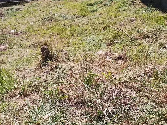 Terreno com 250m², à venda, no bairro Jardim Bandeirantes em Poços de Caldas