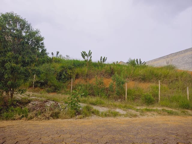 Terreno com 1850m², à venda, no bairro Nossa Senhora Aparecida em Cambuí