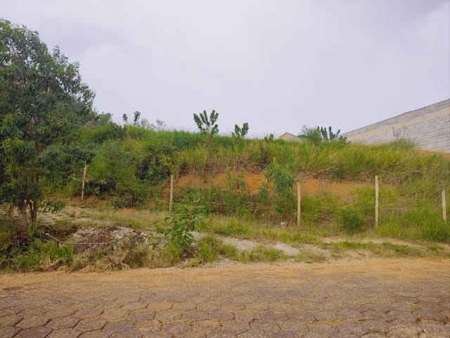 Terreno com 1850m², à venda, no bairro Nossa Senhora Aparecida em Cambuí