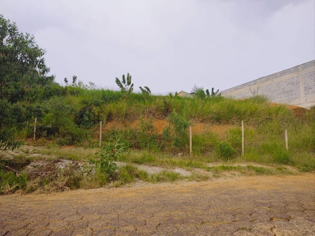 Terreno com 1850m², à venda, no bairro Nossa Senhora Aparecida em Cambuí