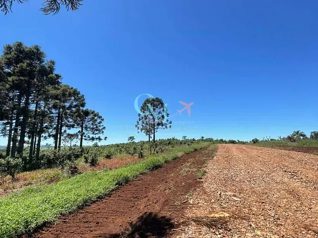 Sítio com 5000m² 1 quarto e 1 banheiro, à venda, no bairro A em Xanxerê