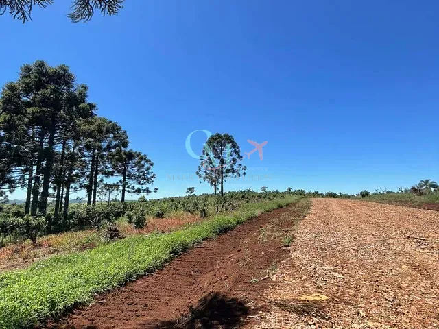 Sítio com 5000m² 1 quarto e 1 banheiro, à venda, no bairro A em Xanxerê
