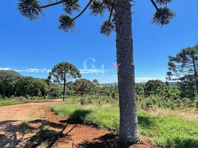 Sítio com 5000m² 1 quarto e 1 banheiro, à venda, no bairro A em Xanxerê