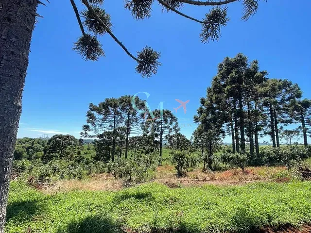 Sítio com 5000m² 1 quarto e 1 banheiro, à venda, no bairro A em Xanxerê