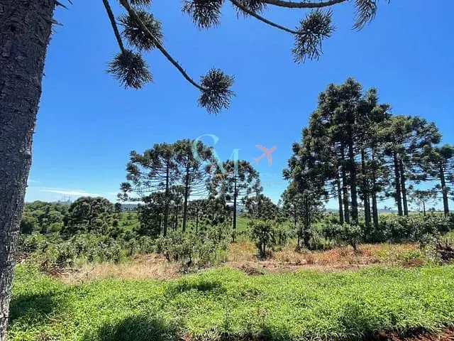 Sítio com 5000m² 1 quarto e 1 banheiro, à venda, no bairro A em Xanxerê