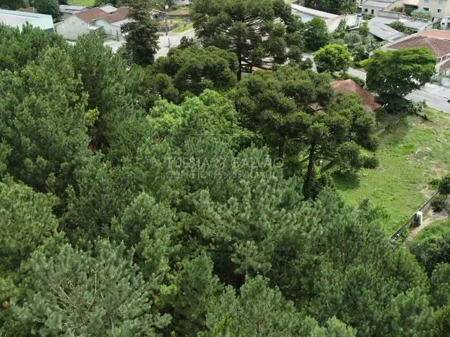 Terreno com 870m², à venda, no bairro São Miguel em Araucária