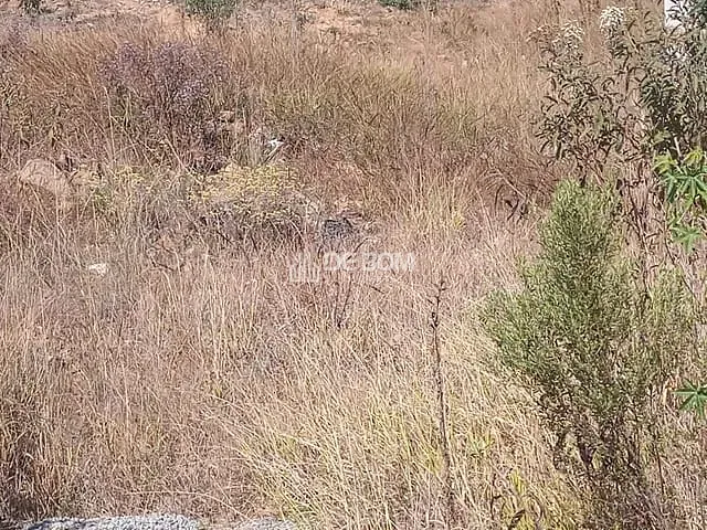 Terreno com 300m², à venda, no bairro Residencial Morumbí em Poços de Caldas