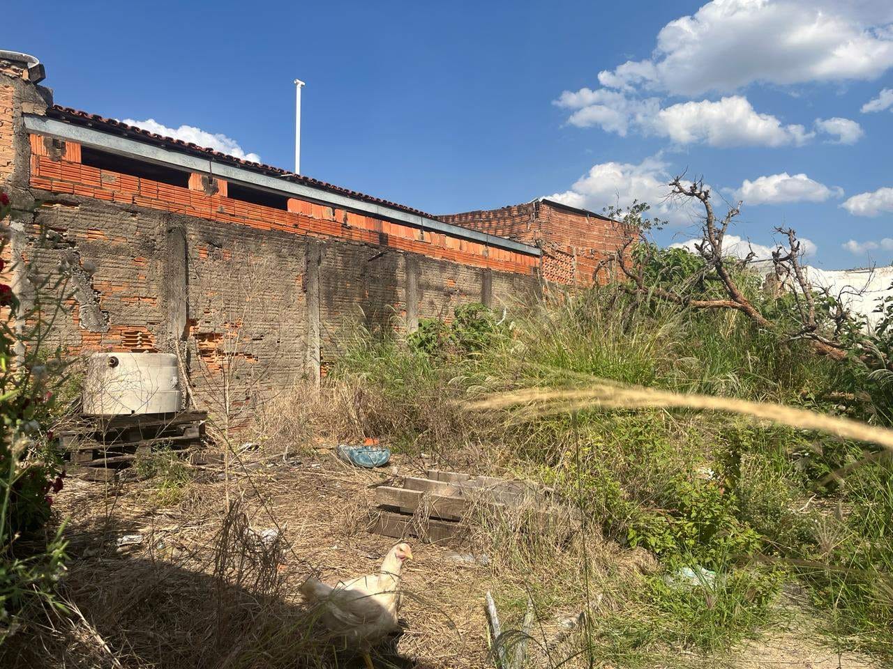 Terreno, 250 m² - Foto 3