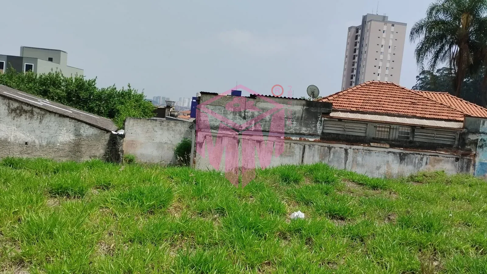 Terreno, 7865 m² - Foto 3