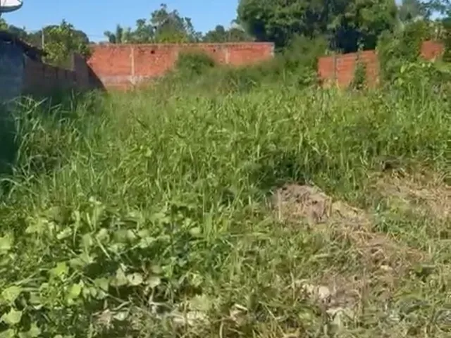 Foto do Terreno - Terreno para alugar, 300 m² localizado no Bairro Pedra Mole | IMOBILIÁRIA ROCHA FILHO