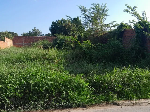 Foto do Terreno - Terreno para alugar, 300 m² localizado no Bairro Pedra Mole | IMOBILIÁRIA ROCHA FILHO