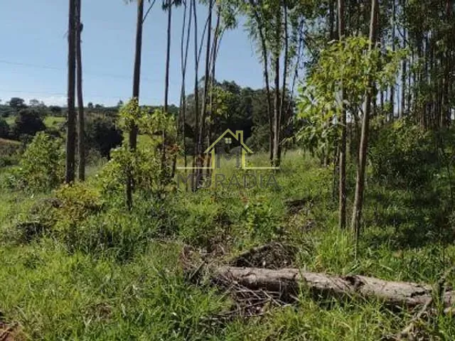 Terreno com 500m², à venda, no bairro Lagoa em Nova Resende