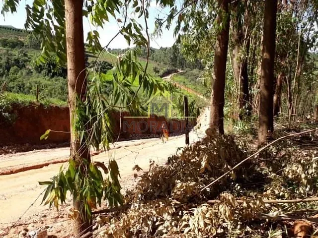 Terreno com 500m², à venda, no bairro Lagoa em Nova Resende