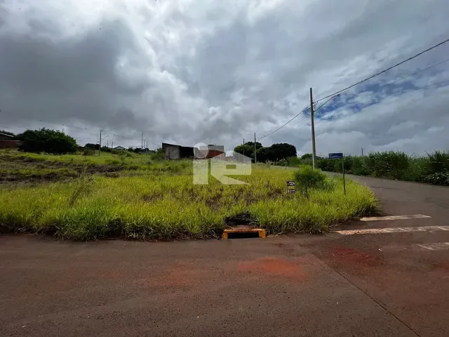 Terreno com 282m², à venda, no bairro Jardim Novo Horizonte em Rolândia