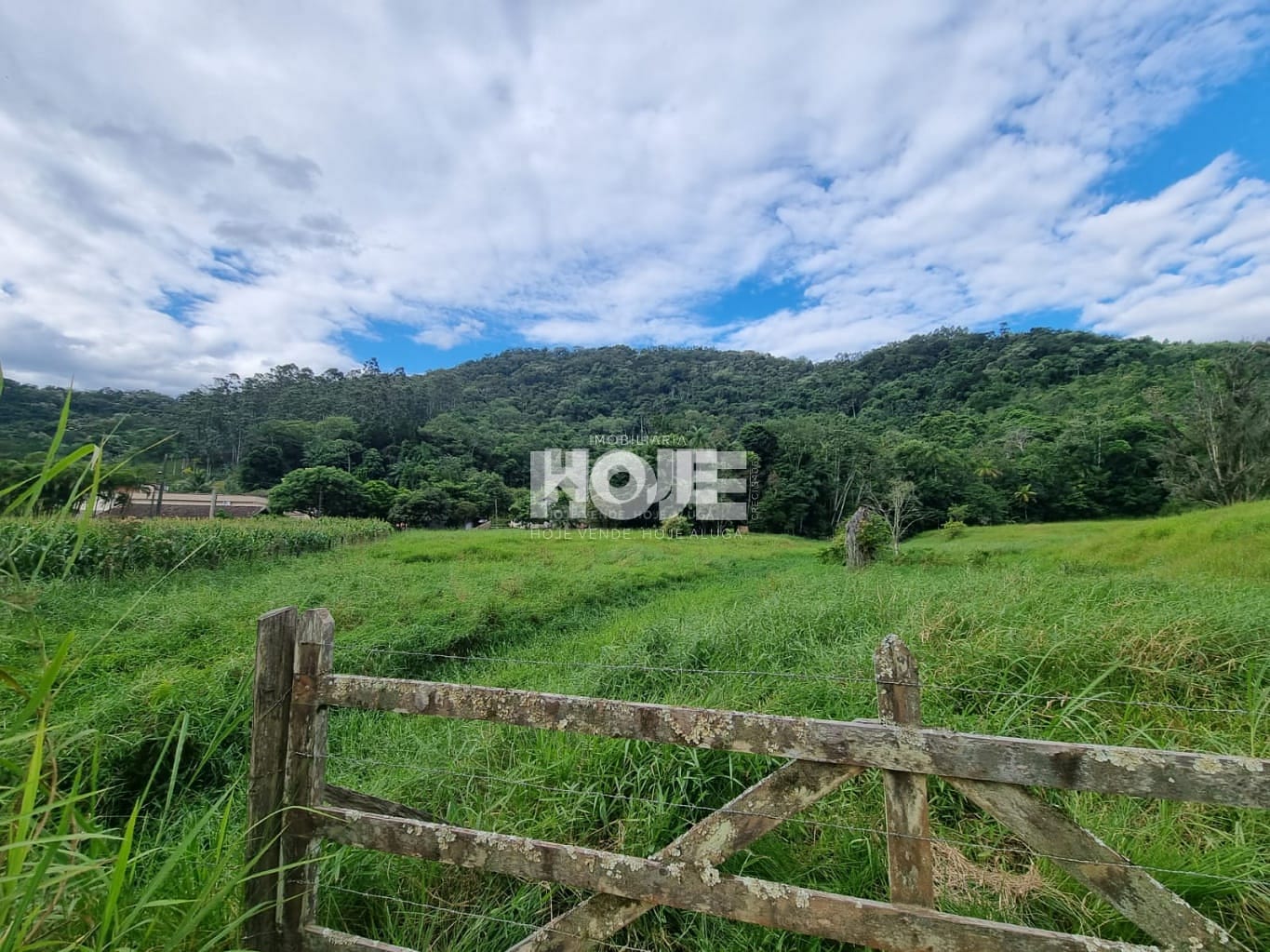 Terreno rural e ou mini sítio no bairro Polaquia, em Indaial — foto 4