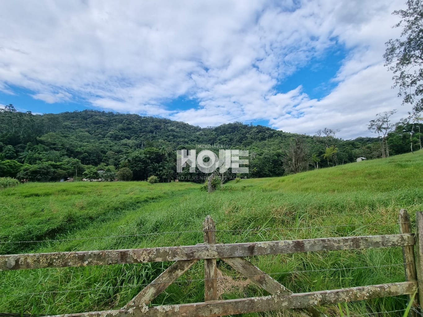 Terreno rural e ou mini sítio no bairro Polaquia, em Indaial — foto 2