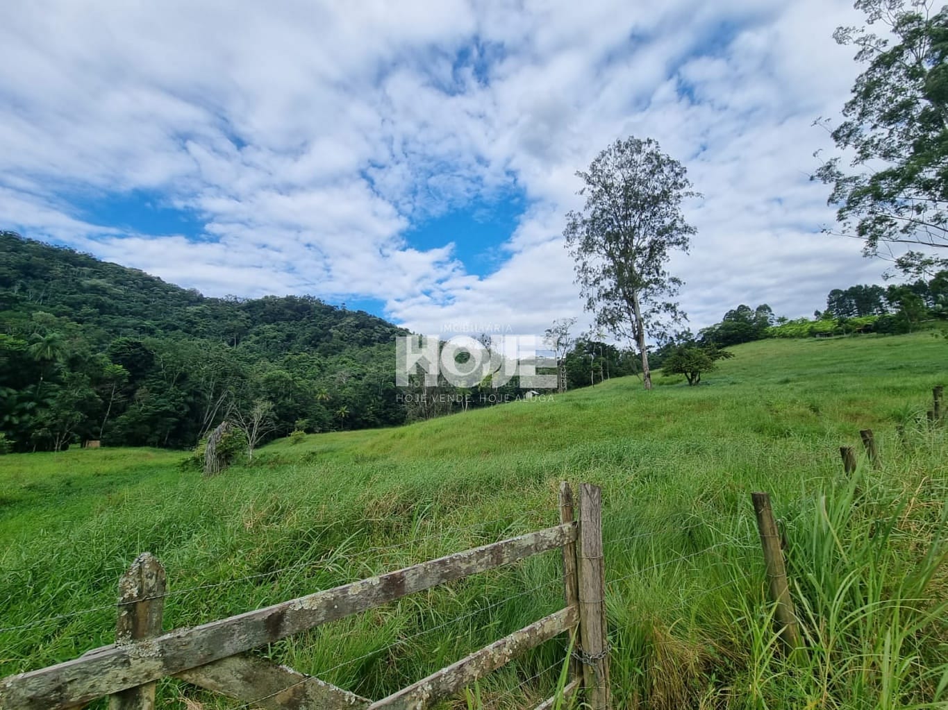Terreno rural e ou mini sítio no bairro Polaquia, em Indaial — foto 3