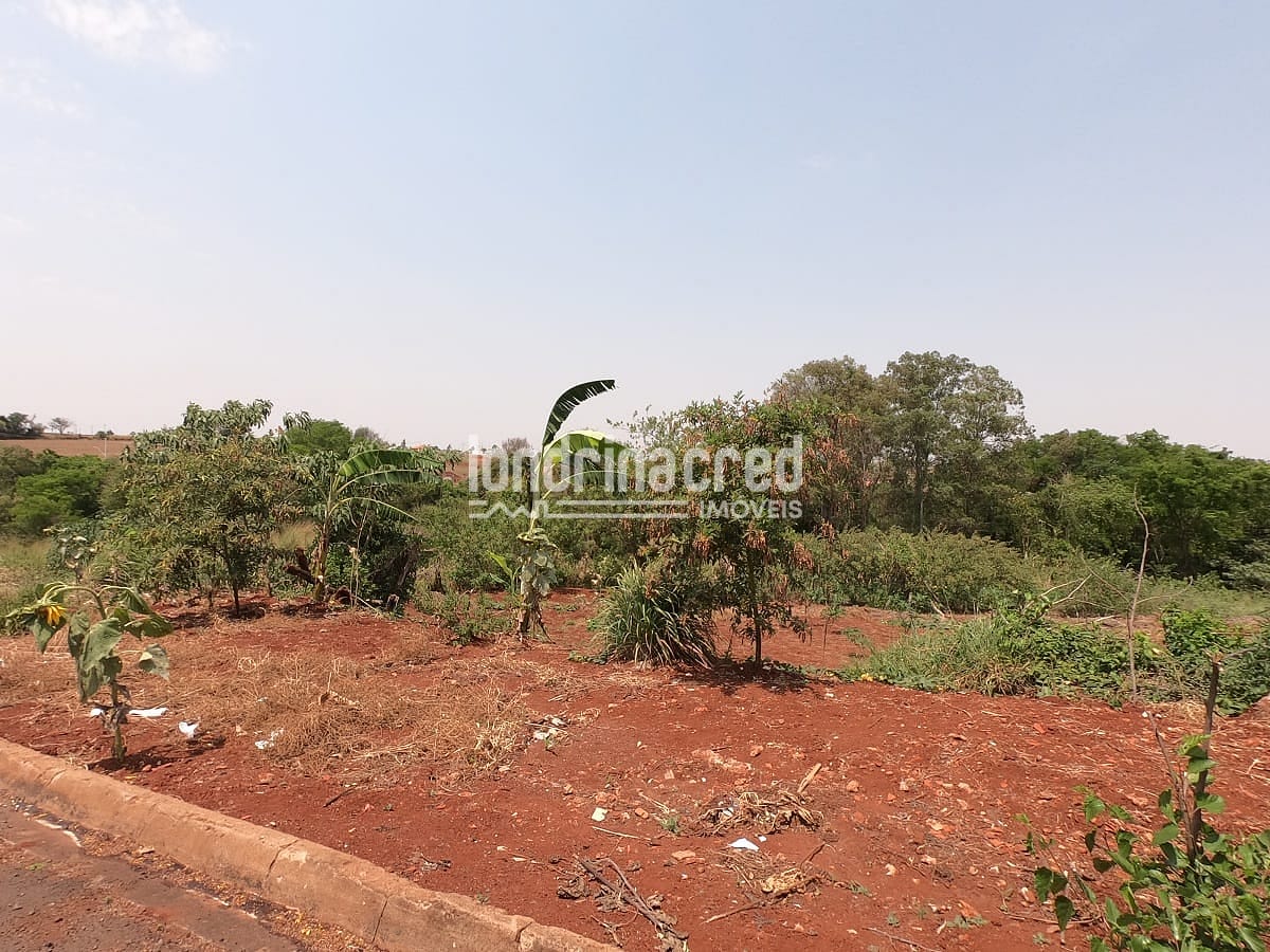 Terreno, 387 m² - Foto 5