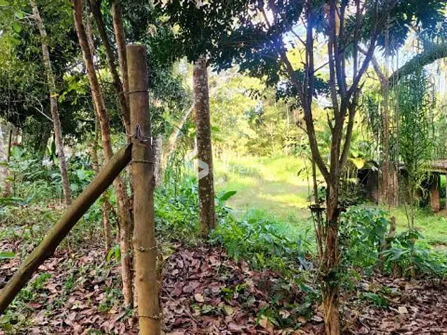 Terreno com 6605m², à venda, no bairro Balança em Simão Pereira