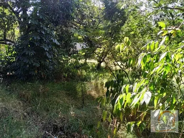 Terreno com 395m², à venda, no bairro Jardim Paulista em Atibaia