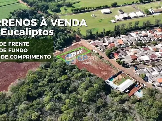 Terreno com 819m², à venda, no bairro Eucaliptos em Londrina