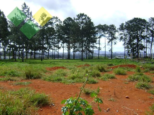 Foto do Terreno - Terreno Áreas em Pinheirinho  -  Itaquaquecetuba | Imobiliária Villela Imóveis