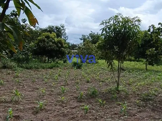 Terreno com 3000m², à venda, no bairro Condomínio Sonho Verde - Hidrolândia GO em Hidrolândia