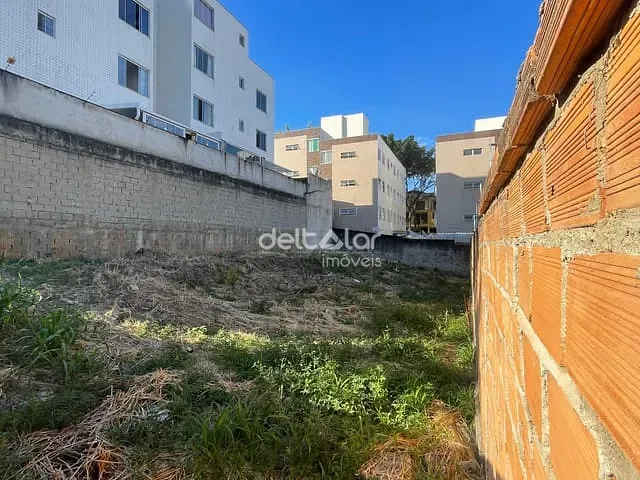 Terreno com 360m², à venda, no bairro Santa Amélia em Belo Horizonte