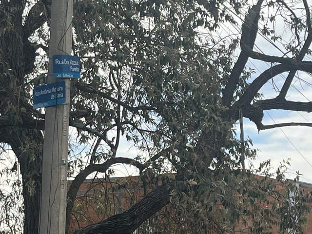 Terreno com 271m², à venda, no bairro Jardim Sul América em Campinas