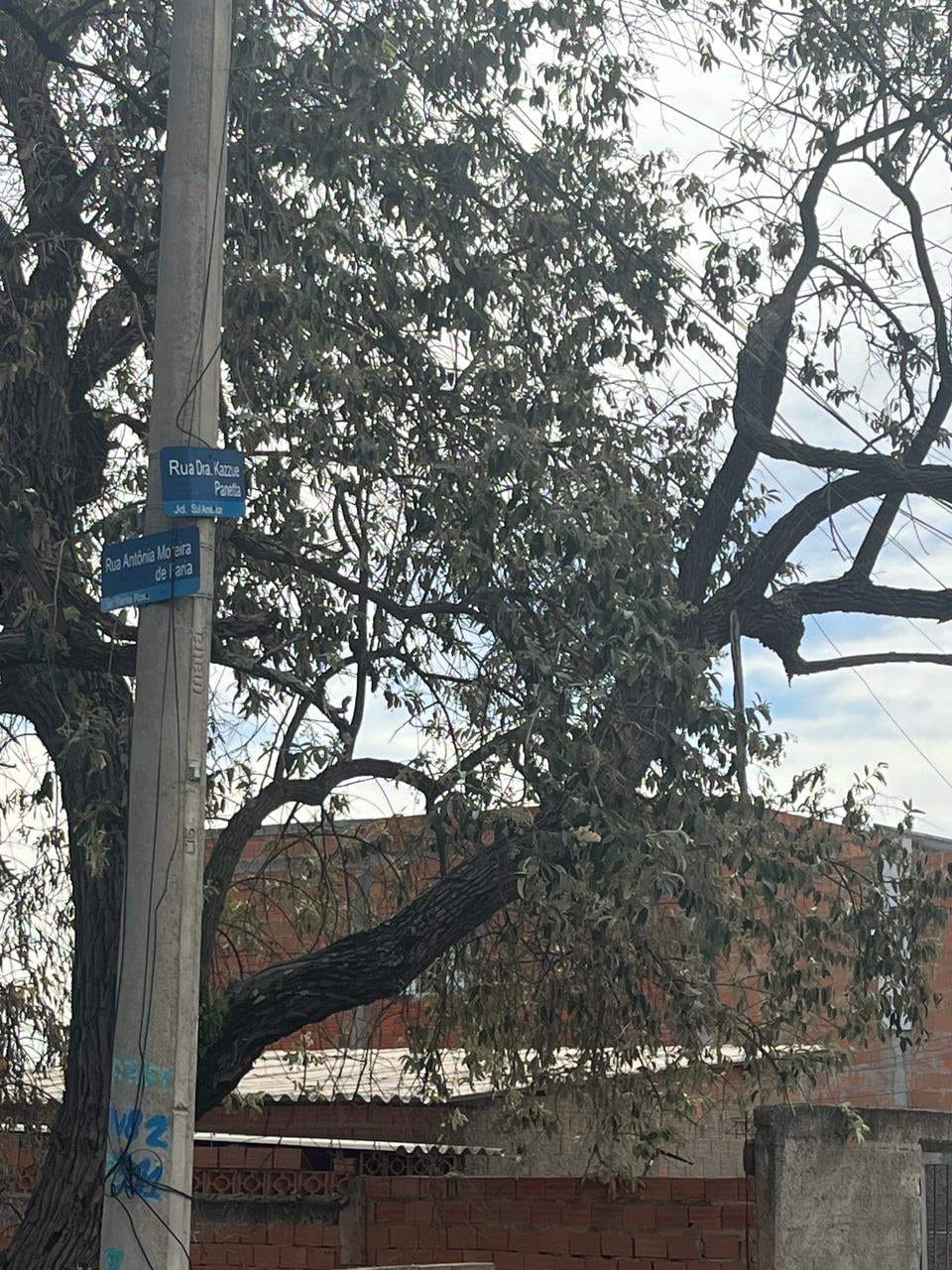 Terreno, 271 m² - Foto 1